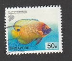 Stamps Singapore -  Pez Cara de angel
