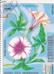 Stamps Equatorial Guinea -  FLORES- PROTECCIÓN DE LA NATURALEZA