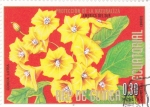 Stamps Equatorial Guinea -  FLORES- PROTECCIÓN DE LA NATURALEZA