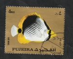 Stamps United Arab Emirates -  Fujeira - Pez