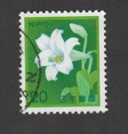 Stamps Japan -  Flor blanca