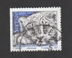 Stamps Sweden -  Animales del norte