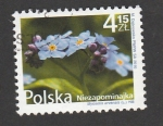 Stamps Poland -  Myosotis arvensis