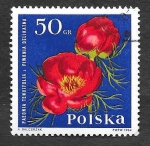 Stamps Poland -  1282 - Peonia