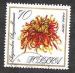 Stamps Poland -  1430 - Crisantemo