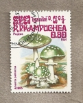 Stamps Cambodia -  Seta:Amanita panterina
