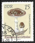 Stamps Germany -  Setas - Amanita pantherina