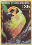 Stamps Equatorial Guinea -  el Traupidos- Protección de la naturaleza
