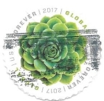 Stamps United States -  siempreviva