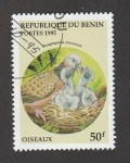 Stamps Benin -  Streptopela chinensis