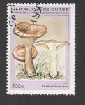 Stamps Guinea -  Paxillus involutus