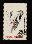 Stamps Dominican Republic -  Ave Demerocopos major