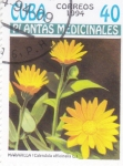 Stamps Cuba -  plantas medicinales 