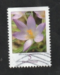 Stamps Germany -  Flor