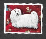 Stamps United Arab Emirates -  Mi1025A - Perro
