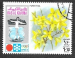 Stamps United Arab Emirates -  YtPA89A - JJOO de Invierno Sapporo´72