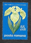 Stamps Romania -  2156 - Flores