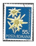 Stamps Romania -  2333 - Flores Protegidas