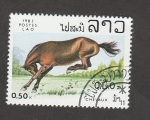 Stamps Laos -  Caballo