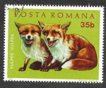 Stamps Romania -  2316 - Animales Jóvenes