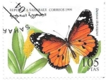 Stamps Morocco -  mariposas