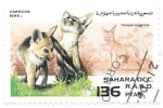 Stamps Morocco -  cachorros