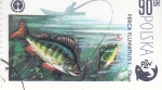 Stamps Poland -  PESCA FLUVIAL 