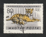 Stamps Hungary -  1417 - Jardín zoológico de Budapest, tigres