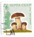 Stamps Russia -  setas