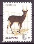 Stamps North Korea -  serie- Cérvidos del zoo de Pyongyang