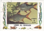 Stamps United Arab Emirates -  PECES TROPICALES