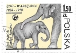 Stamps Poland -  elefantes
