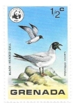 Stamps Grenada -  aves