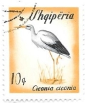 Stamps Albania -  aves