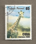 Stamps Cuba -  Zoologico nacional, girafa