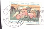 Stamps Spain -  Boletus