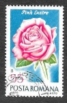 Stamps Romania -  2194 - Rosa Lustre