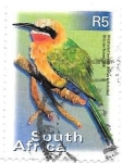 Stamps South Africa -  aves