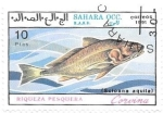 Stamps Morocco -  peces