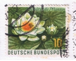Stamps Germany -  Schütz die Pflanzen