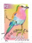 Stamps South Africa -  aves