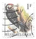 Stamps Belgium -  aves