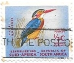 Stamps South Africa -  aves