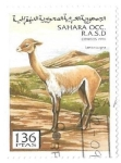 Stamps Morocco -  fauna
