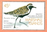 Stamps Marshall Islands -  AVES.  PLUVIALIS  FULVA