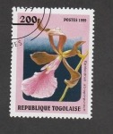 Stamps Togo -  Epidendrum atroporpreum