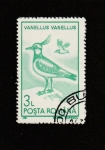 Stamps Romania -  Vanellus vanellus