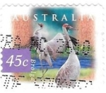 Stamps Australia -  aves