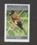 Stamps Guinea -  Cardueliscucullata
