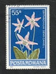 Stamps Romania -  3157 - Flor